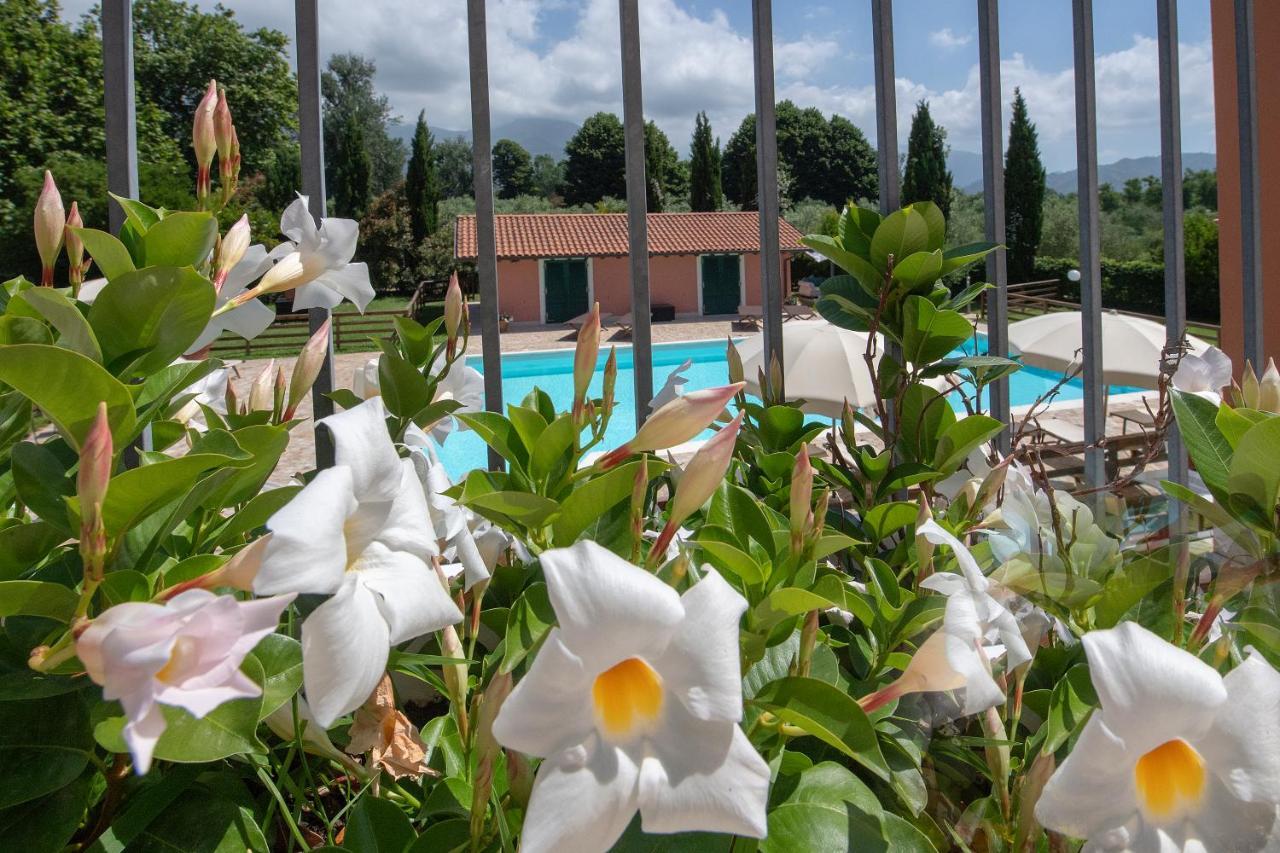 Relais Villa Isabel Pietrasanta Exteriér fotografie